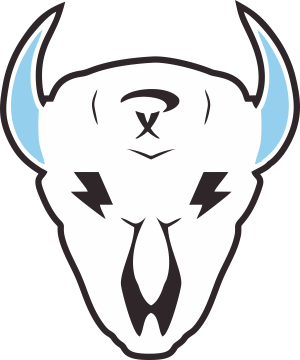 Team logo with a white bison skull – Toronto Sportswear client
