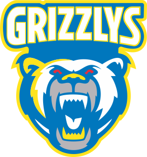 Grizzlys team logo – Toronto Sportswear client